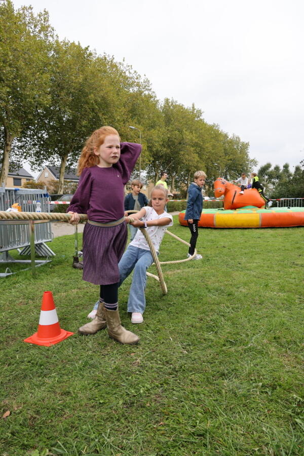 IMG 8198