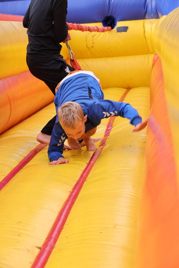 IMG 8225