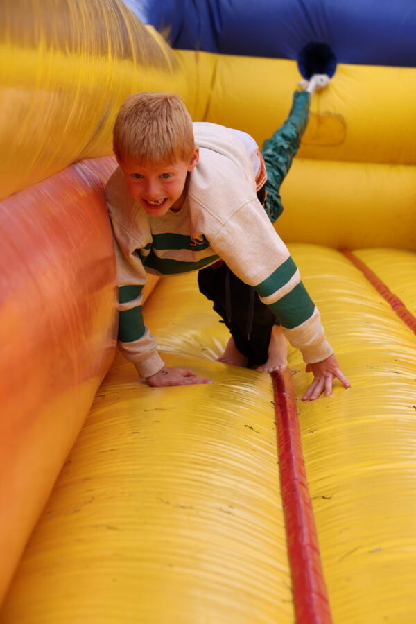 IMG 8232