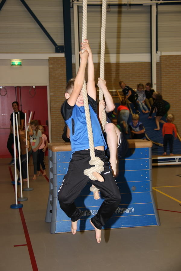 IMG 9826