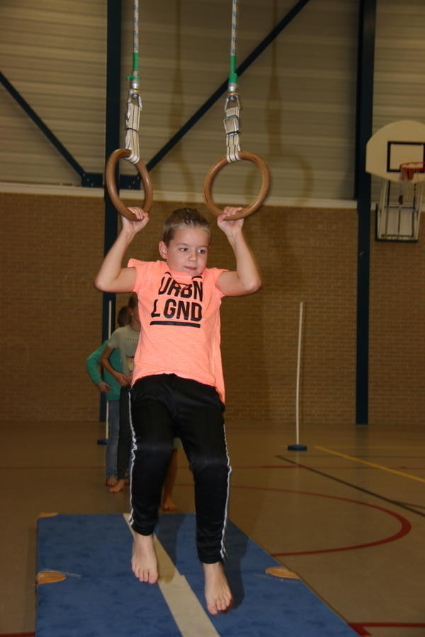 IMG 9827