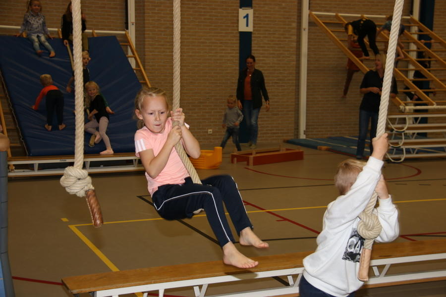 IMG 9855