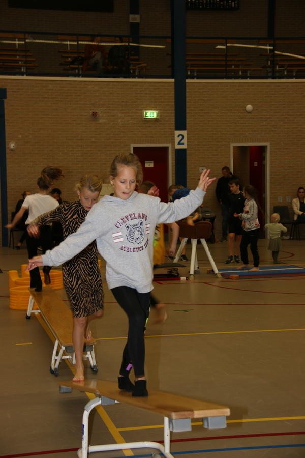IMG 9858