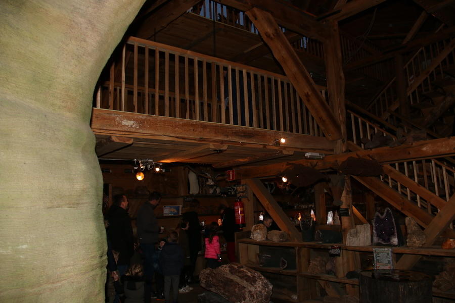IMG 3060