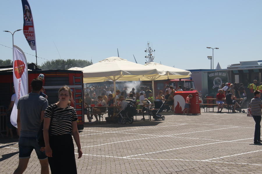 IMG 7455