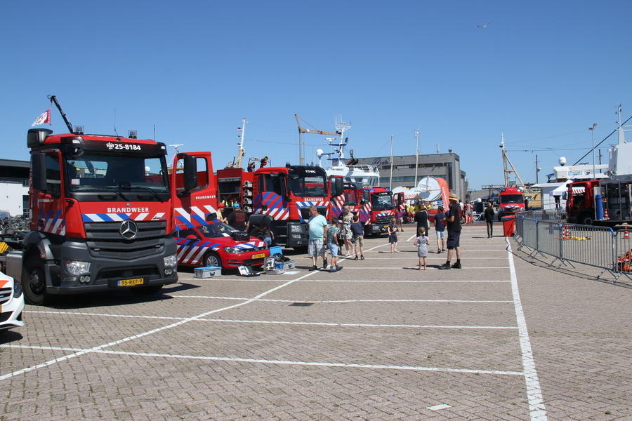 IMG 7481