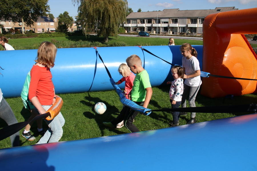 IMG 1753