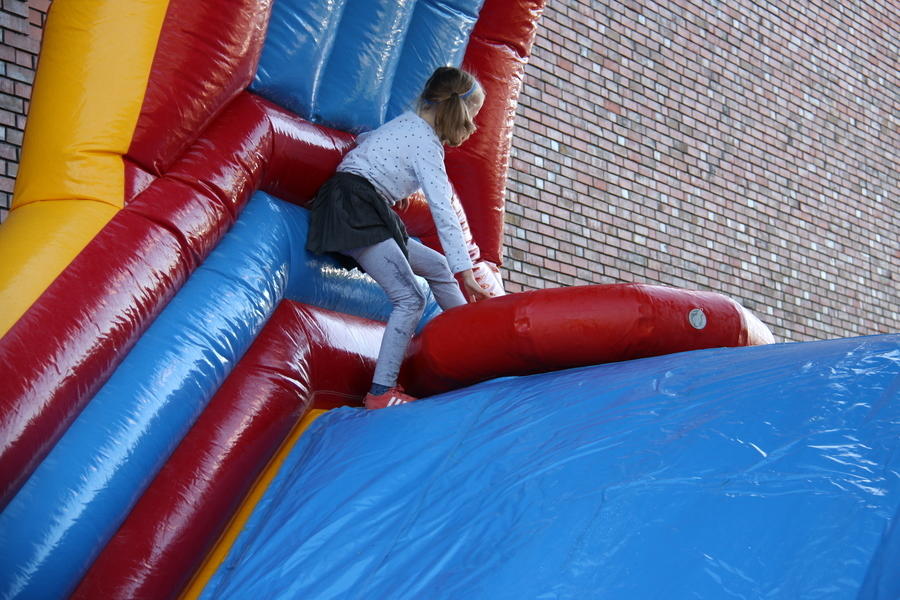 IMG 4566