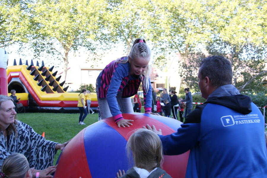 IMG 4587