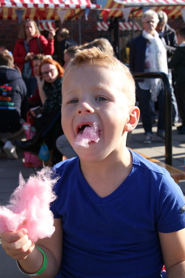 IMG 4635