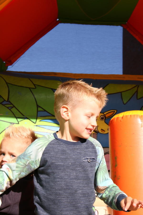 IMG 4651