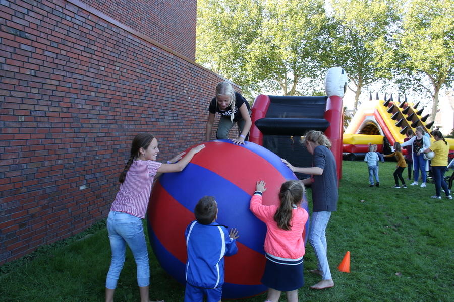 IMG 4661