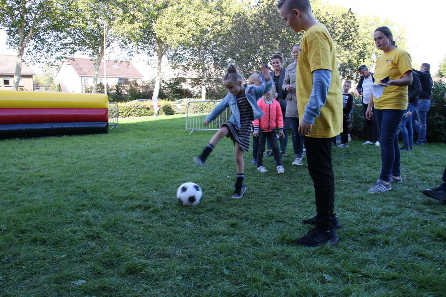 IMG 4681