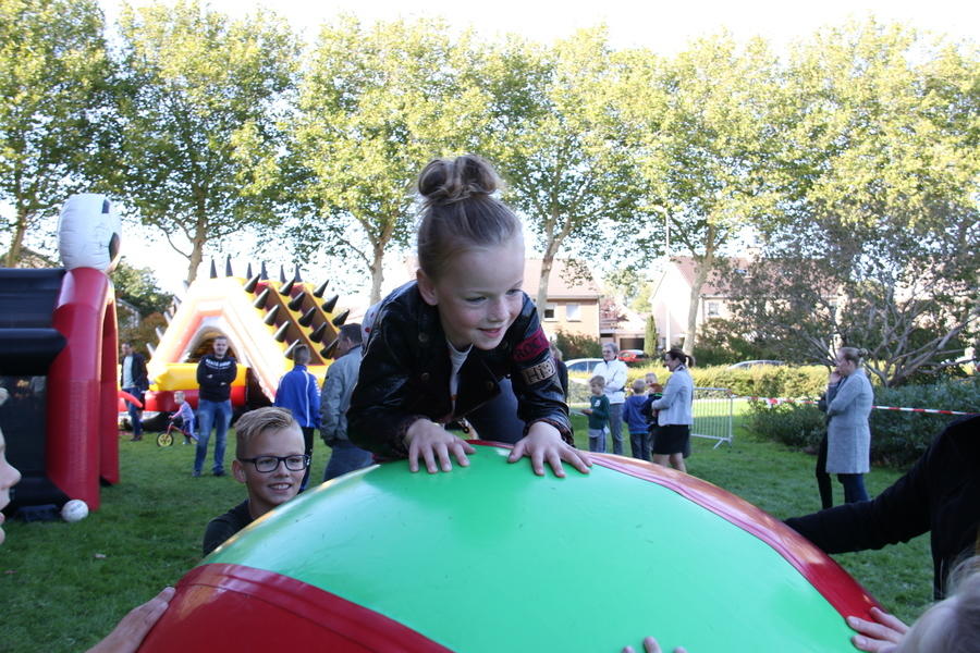 IMG 4694