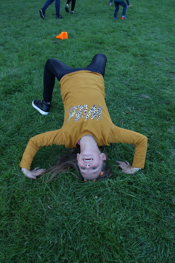 IMG 4703