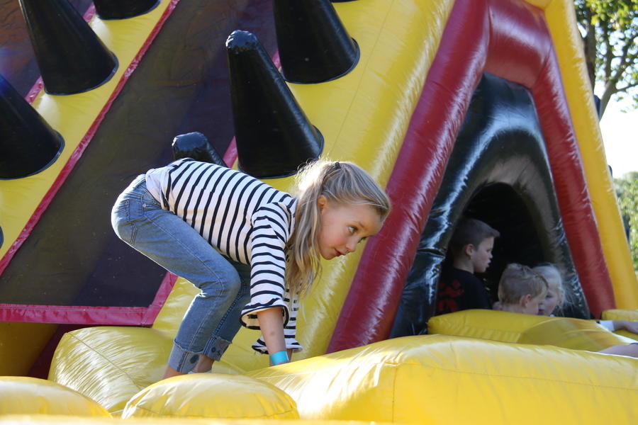 IMG 4734