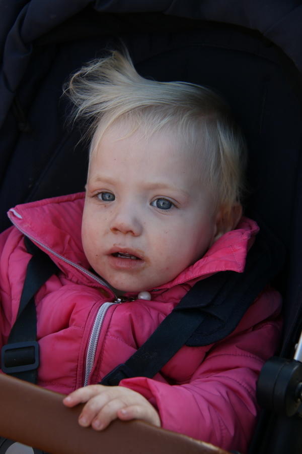 IMG 4751