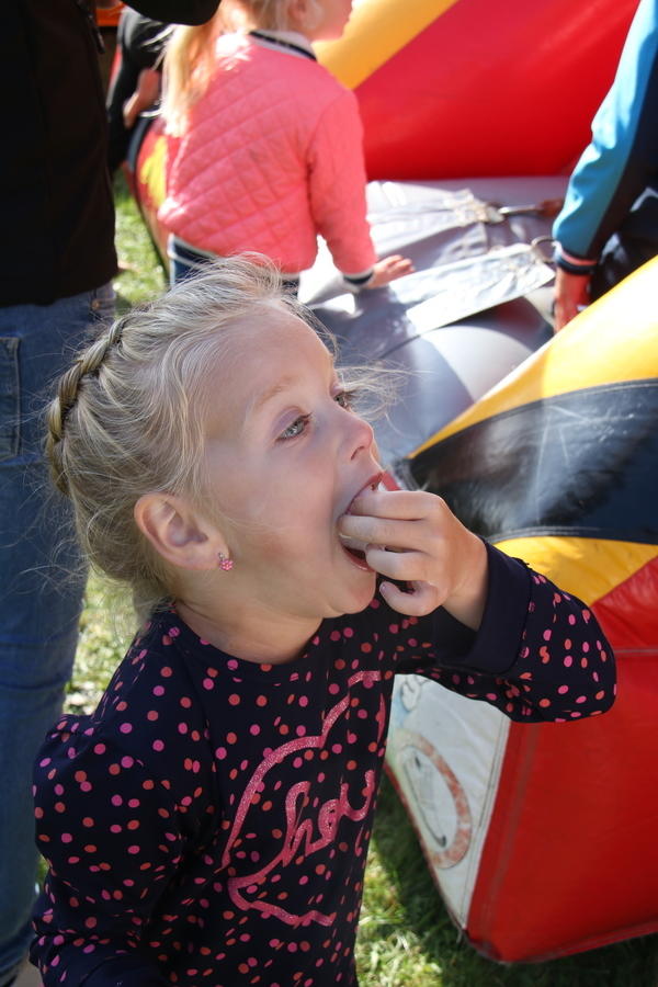 IMG 7809