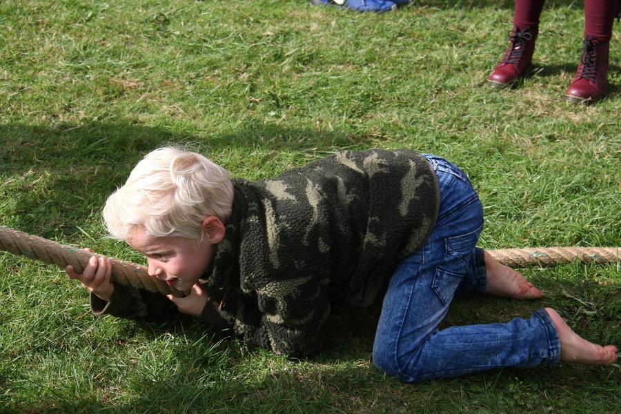 IMG 7831