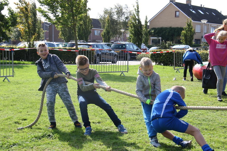 IMG 7880