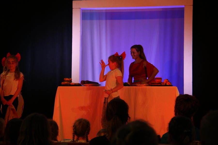 IMG 7331
