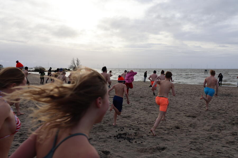 IMG 9950