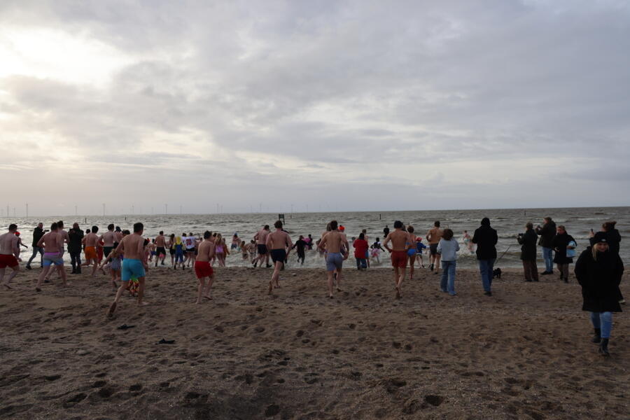 IMG 9951