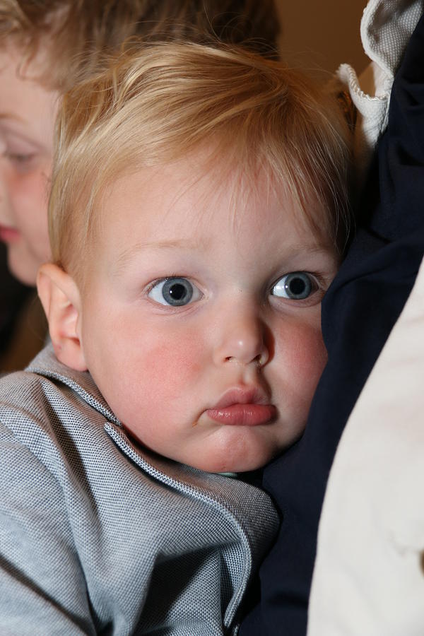 IMG 2329