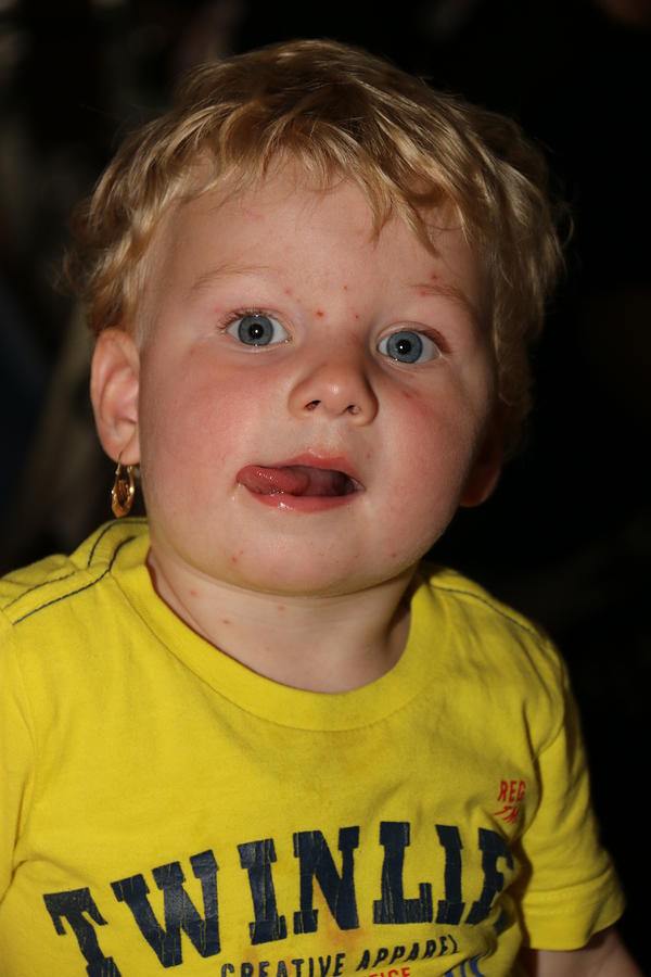 IMG 2479