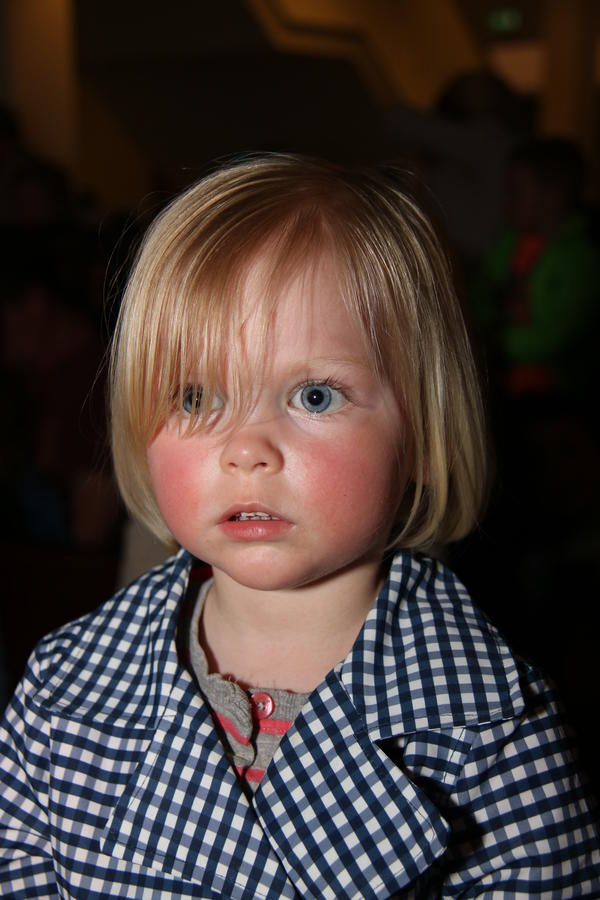 IMG 4508