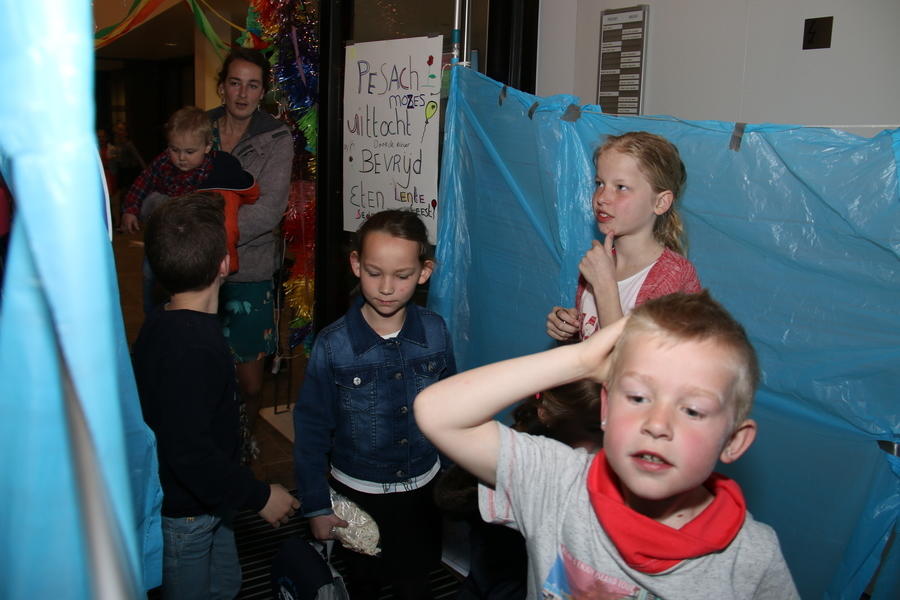 IMG 7169