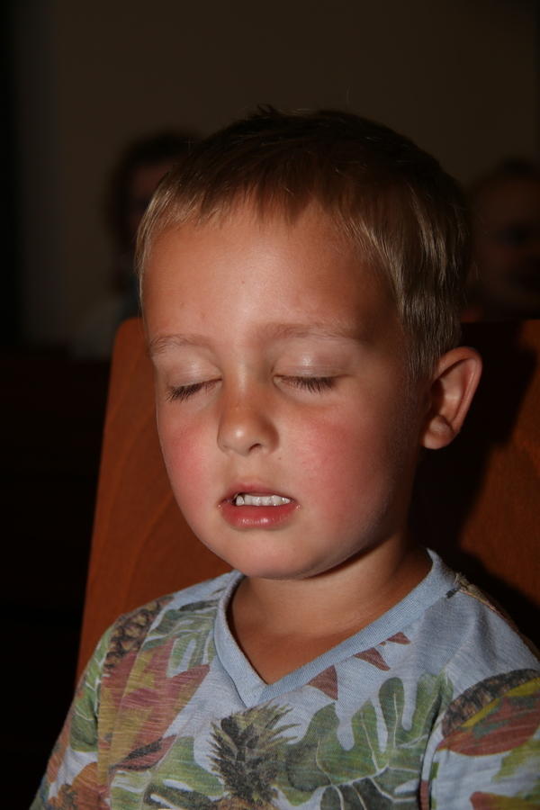 IMG 7877