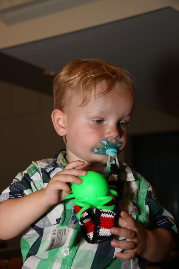IMG 7884
