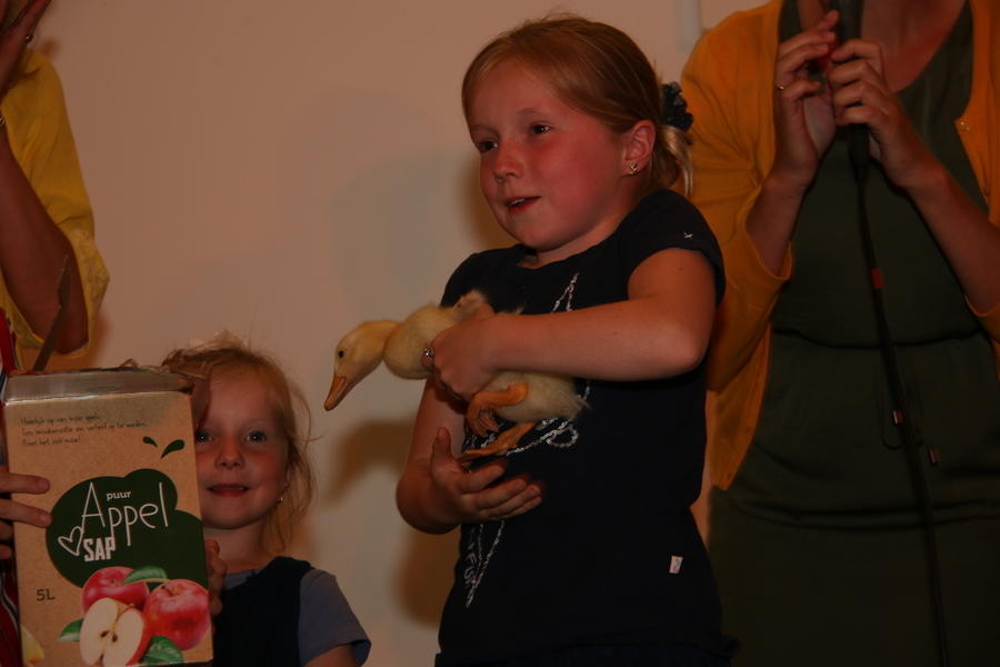 IMG 4221
