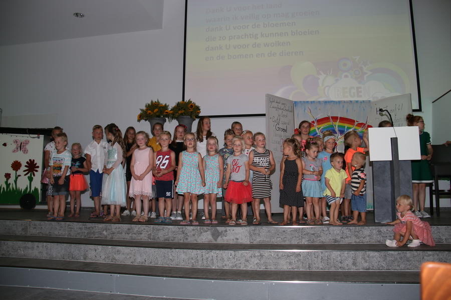 IMG 4454