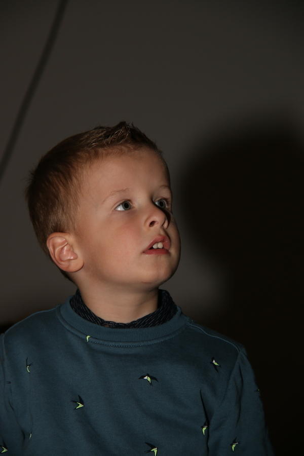 IMG 8105