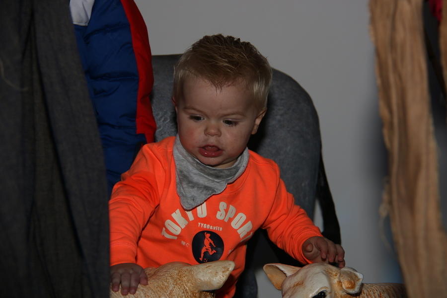 IMG 8753