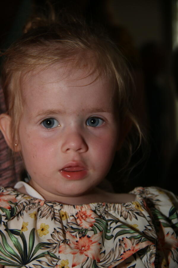 IMG 3096