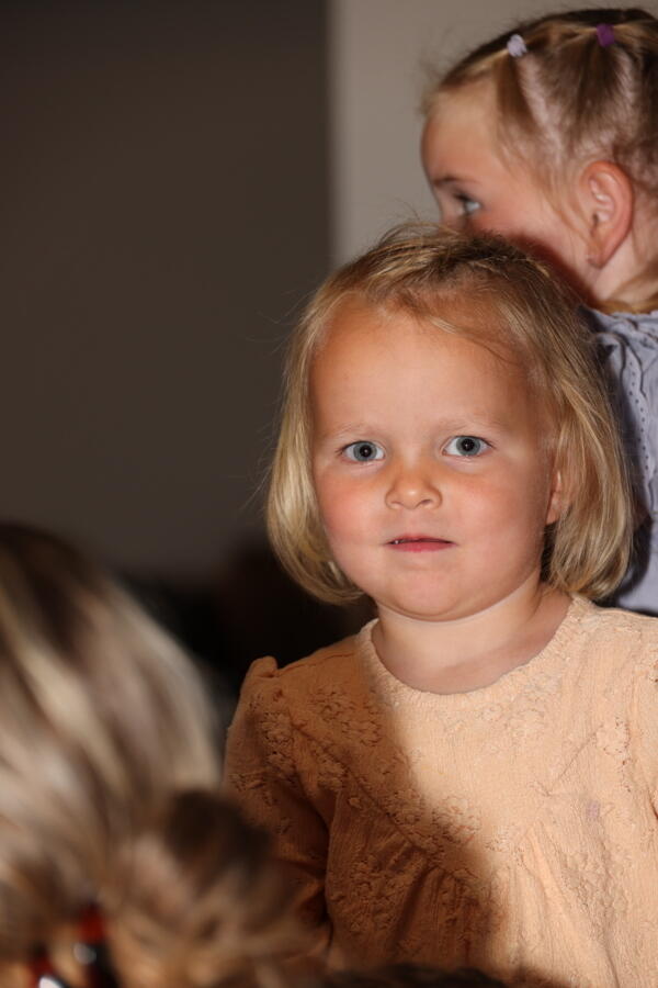 IMG 3264