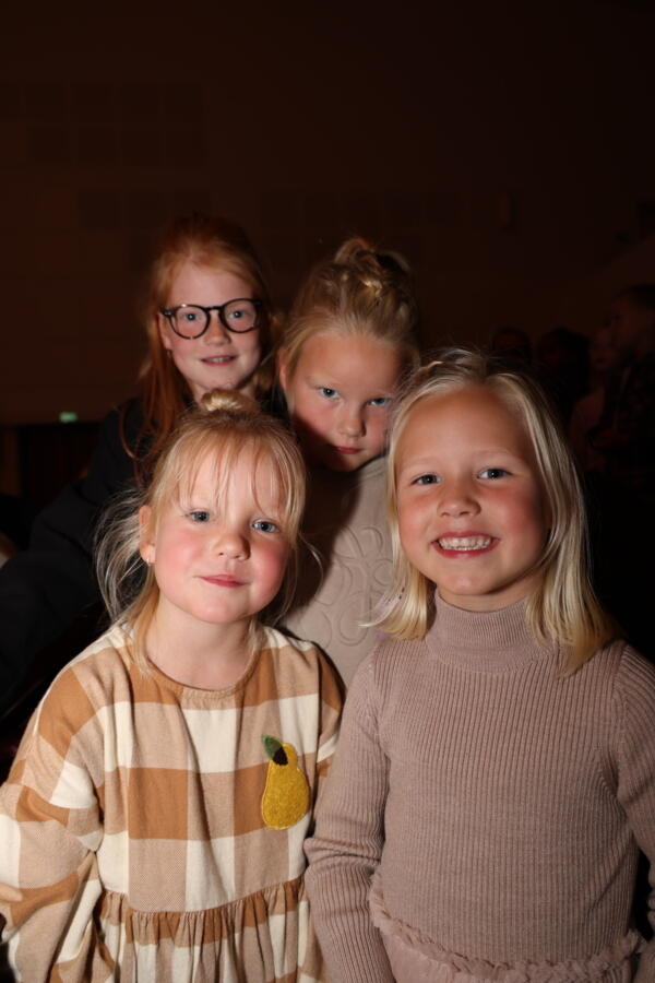 IMG 4113