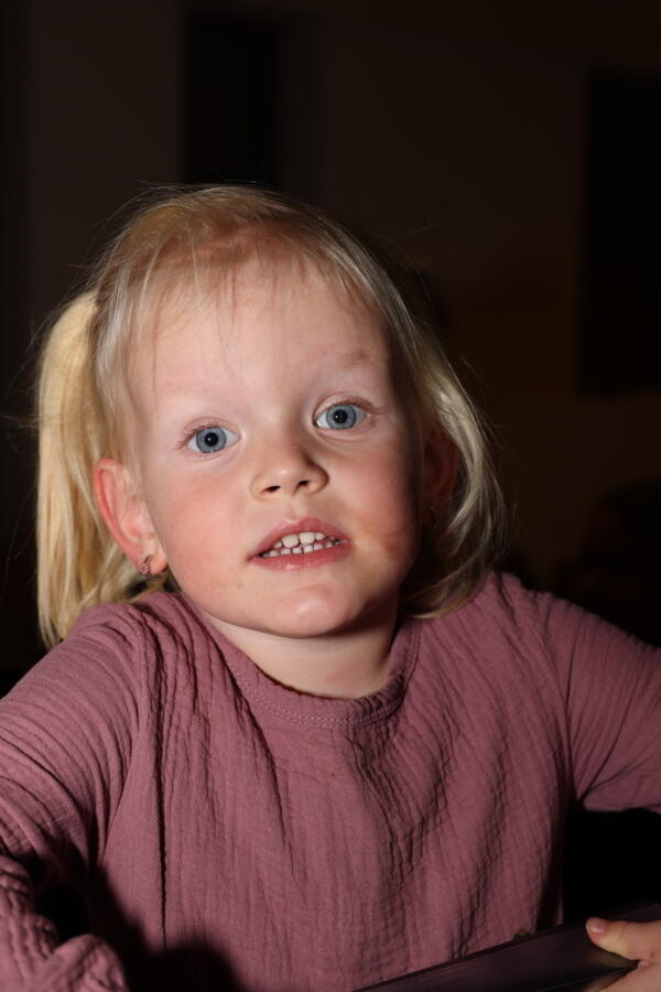 IMG 4227