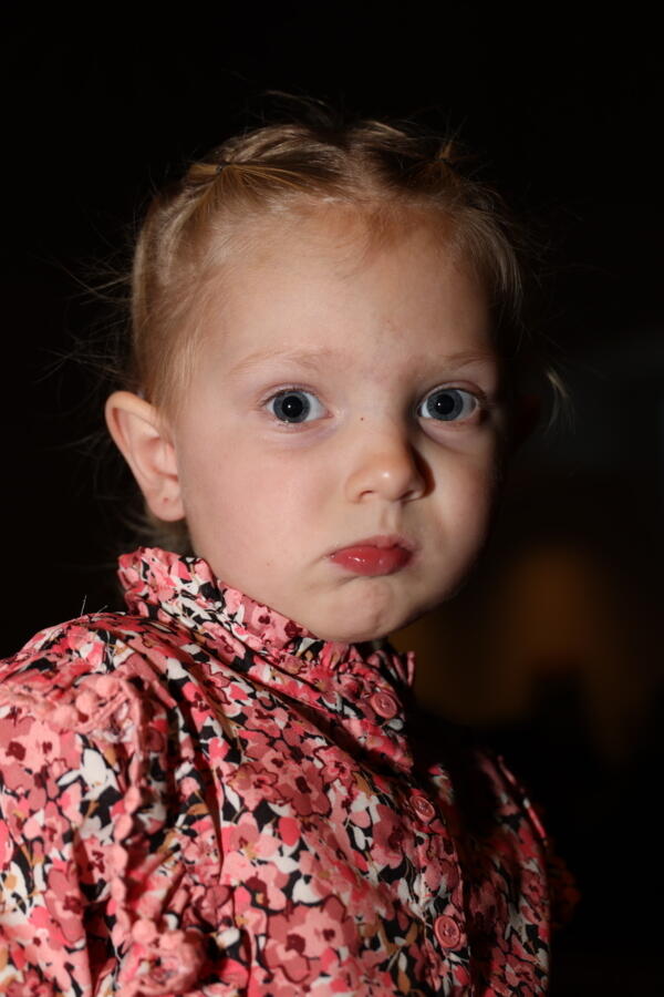 IMG 4236