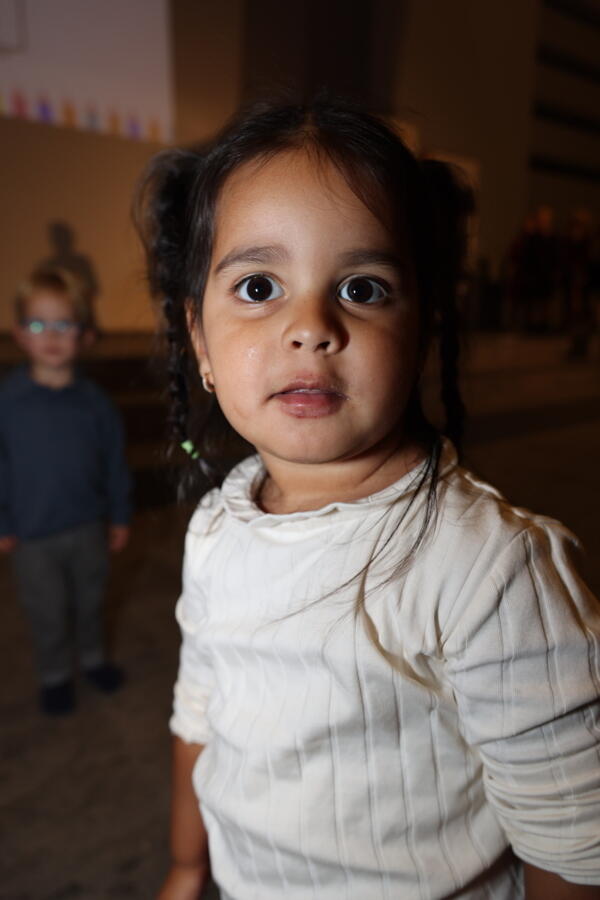 IMG 8425