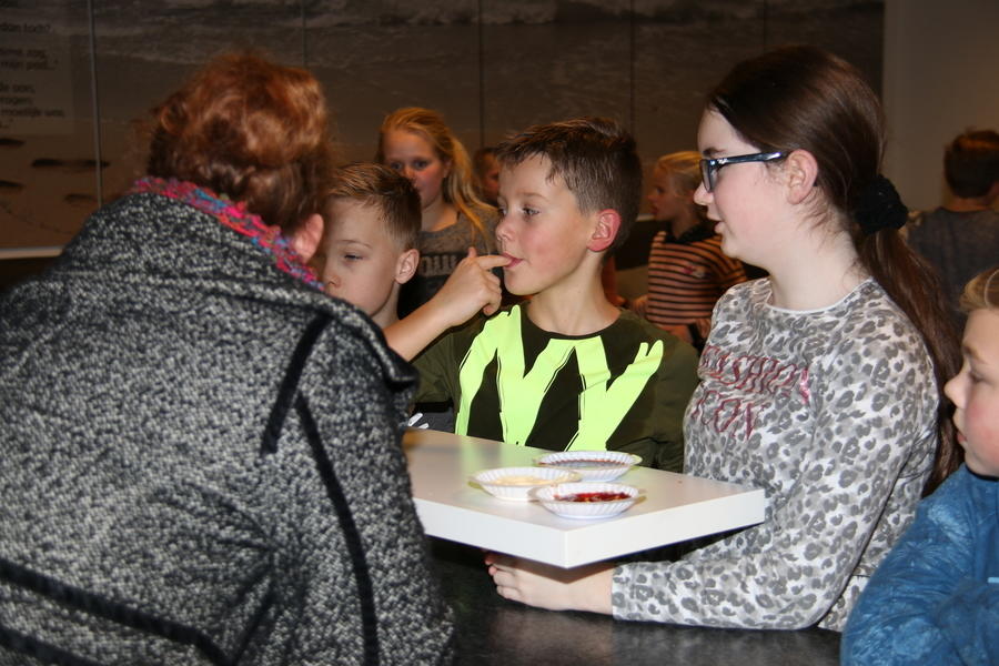 IMG 2538