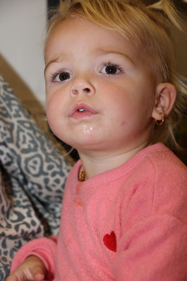 IMG 8722