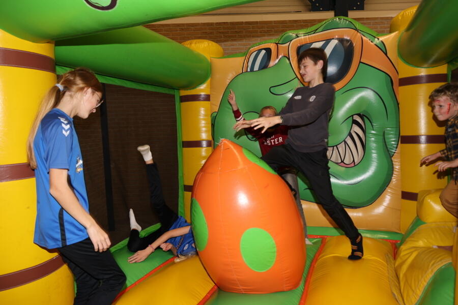 IMG 8771
