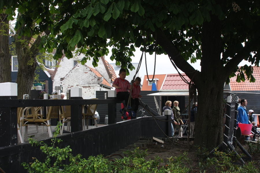 IMG 0556