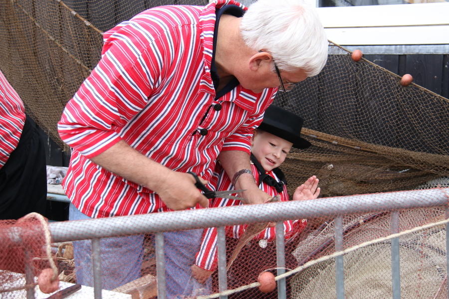 IMG 4558