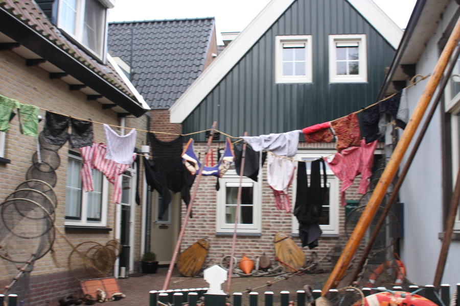 IMG 0813