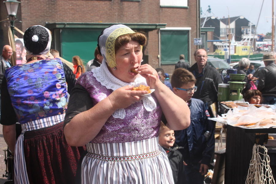IMG 0923